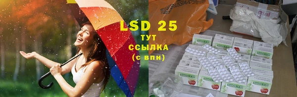 гидра Карпинск