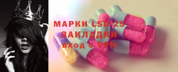 гидра Карпинск