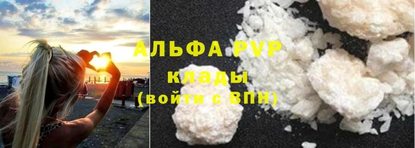 гидра Карпинск