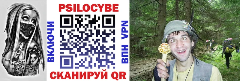 Купить  Валдай  Псилоцибиновые грибы Psilocybine cubensis 